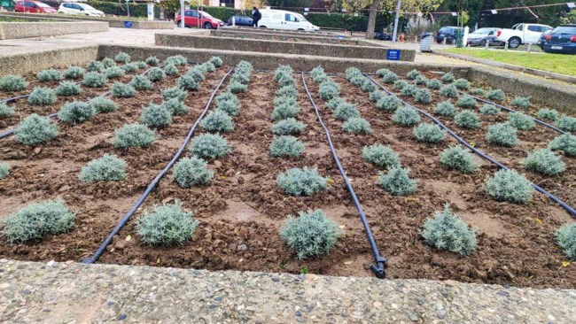 παρτερια θεσσαλονικη