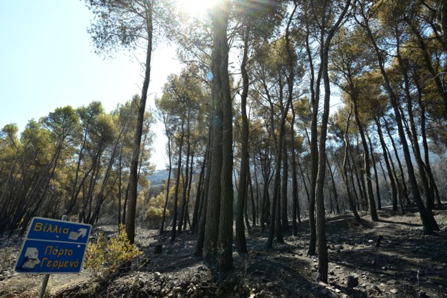 ΦΩΤΙΑ ΔΥΤΙΚΗ ΑΤΤΙΚΗ ΕΠΟΜΕΝΗ ΜΕΡΑ