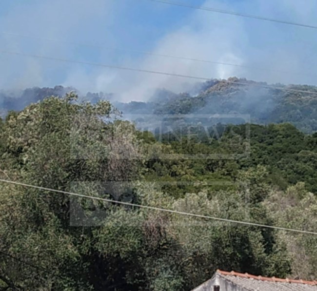 κέκυρα