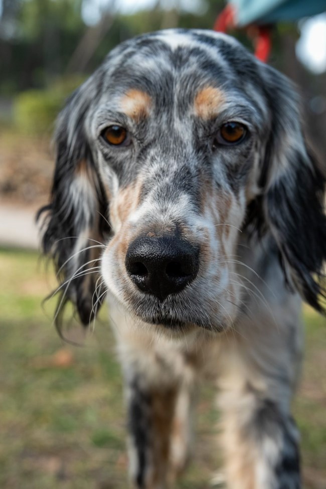 Λάμπρος: Από κάποιον... περίσσεψε και περιφερόταν μόνος, κουρασμένος και χαμένος