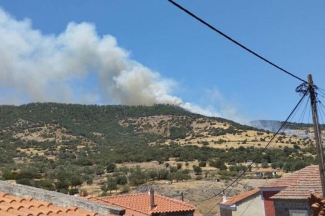 Φωτιά στη Λέσβο, καίγεται δασική έκταση - Επιχειρούν 10 εναέρια μέσα - Πυρκαγιές και σε Βοιωτία και Όλυμπο [εικόνες-βίντεο]