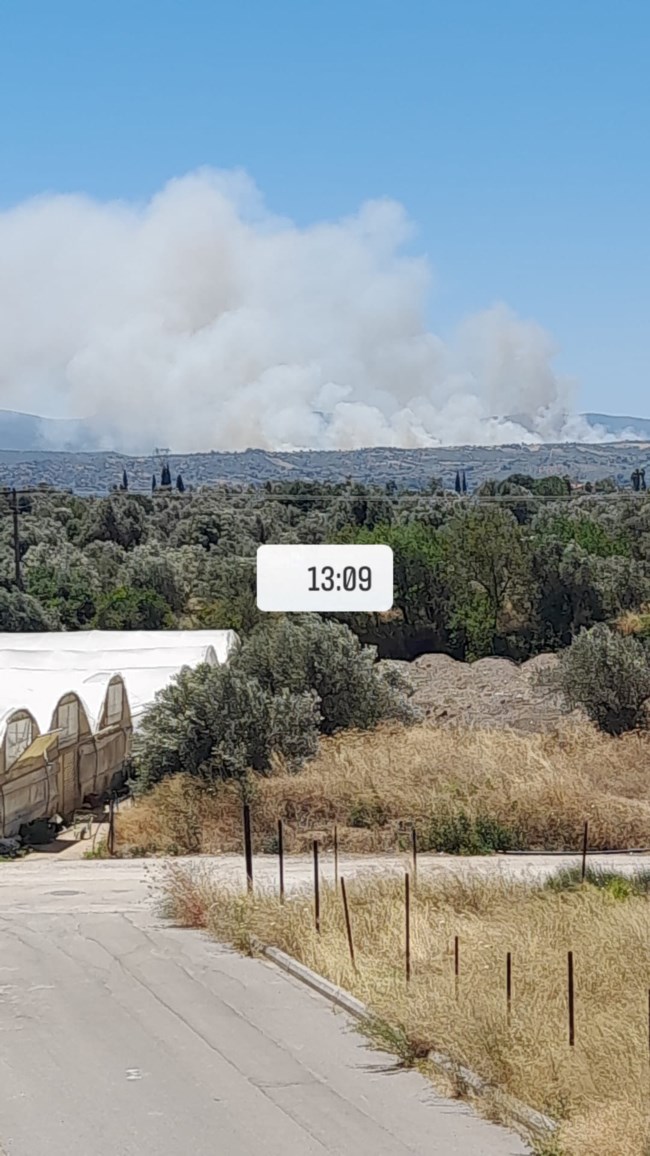 φωτια σχηματαρι