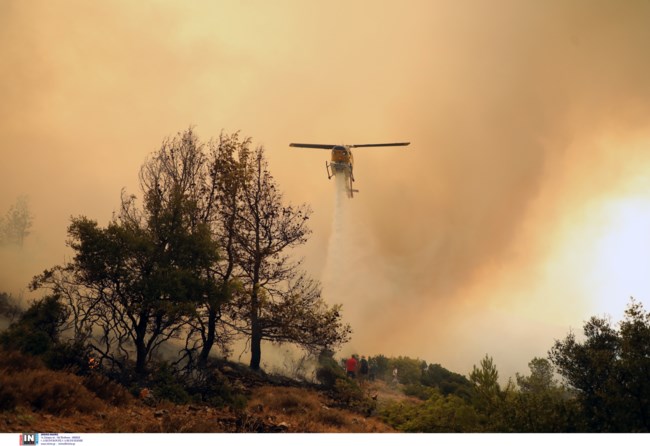Φωτιά στα Βίλια: Καλύτερη η εικόνα την πέμπτη ημέρα - Στο όρος Πατέρας το ενεργό μέτωπο