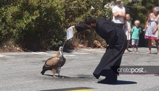 ΟΡΝΙΟ ΚΡΗΤΗ