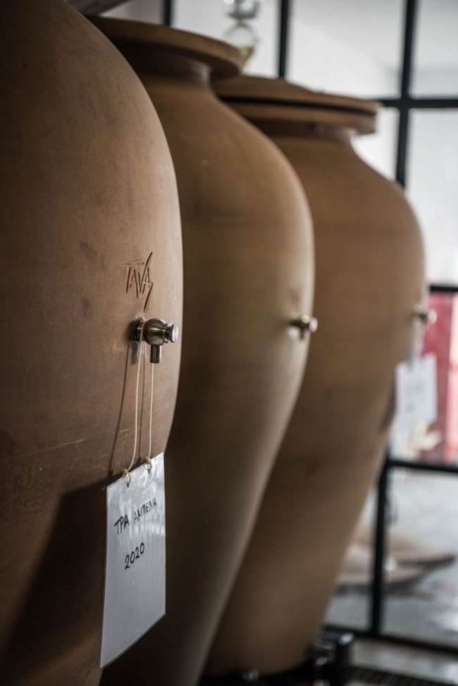 Δεν πάει πουθενά: Οινοποιός της Σαντορίνης παραμένει δίπλα στα πιθάρια με το κρασί του, μια ανάσα από το Κολούμπο