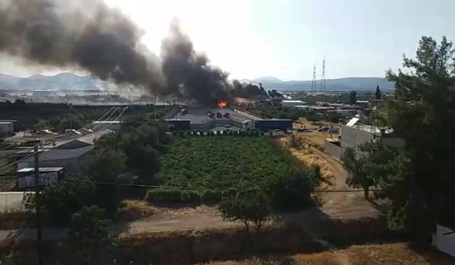 Φωτιά στον Ασπρόπυργο: Φούντωσε επικίνδυνα αποθήκη με ξύλα - Μήνυμα 112 στους κατοίκους να κλείσουν πόρτες, παράθυρα