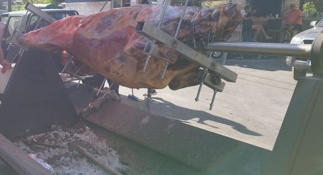Χανιά: Σφοδρές αντιδράσεις για το σούβλισμα ταύρου σε χωριό για τη γιορτή του Αγίου Πνεύματος