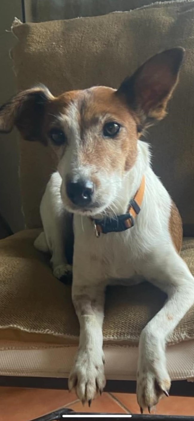 Η Τζάκυ: Ιδιότροπη - όχι,  Κυκλοθυμική - όχι,   Ζωηρή - όχι,  Ξεροκέφαλη - όχι,  Πεισματάρα -όχι,  Ενοχλητική - όχι