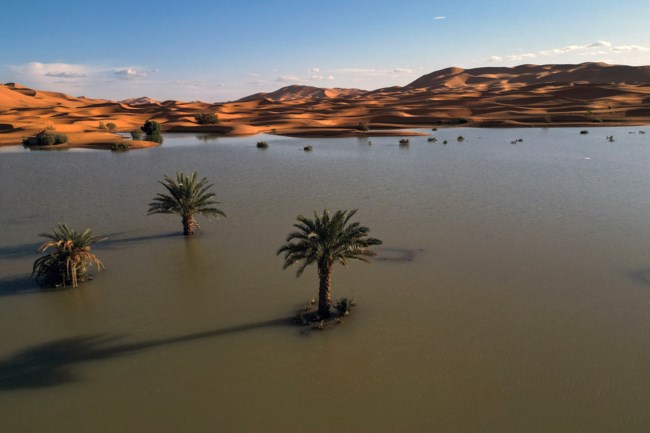 sahara