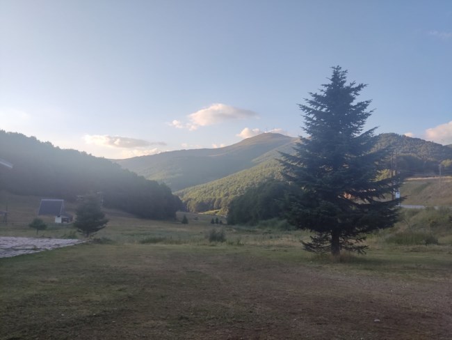 πισοδερι