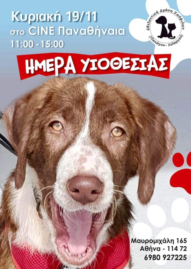 χαλανδρι