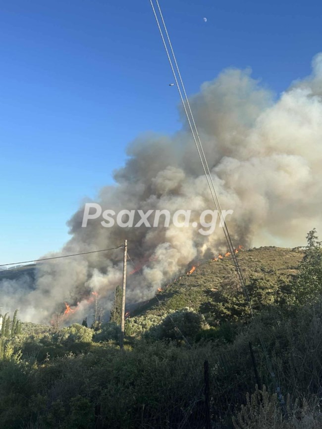 ΦΩΤΙΑ ΕΥΒΟΙΑ