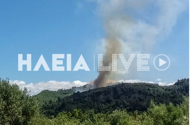 Φωτιά στην Ηλεία