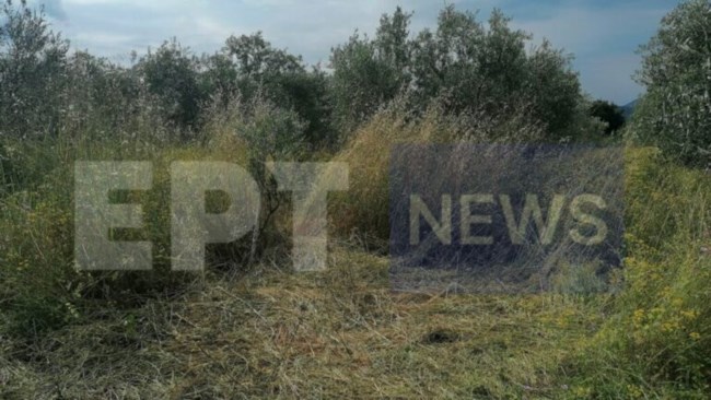 Καβάλα - Θάνατος 68χρονης: Χτύπημα από κριάρι ή εγκληματική ενέργεια; "Την έδερνε και την απειλούσε" λέει ο αδερφός της για τον άντρα της