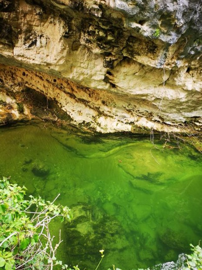 Νεραϊδόσπηλιος