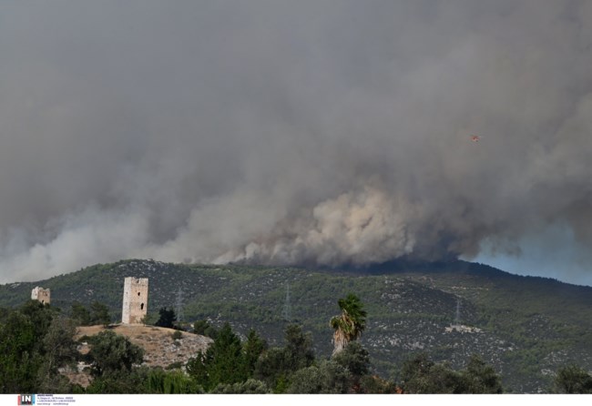 Φωτιά στην Εύβοια