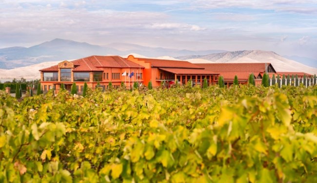 Από ξινόμαυρο μέχρι Sauvigon Blanc: Ποιο είναι το οινοποιείο "Κτήμα Αλφα" που επισκέφθηκε ο Μητσοτάκης στο Αμύνταιο