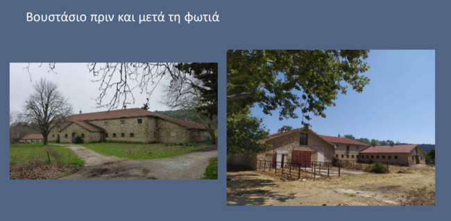 TATOI