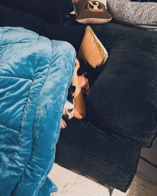 Δήμητρα Κατσαφάδου