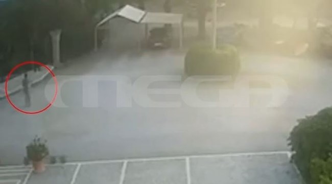 φοινικουντα