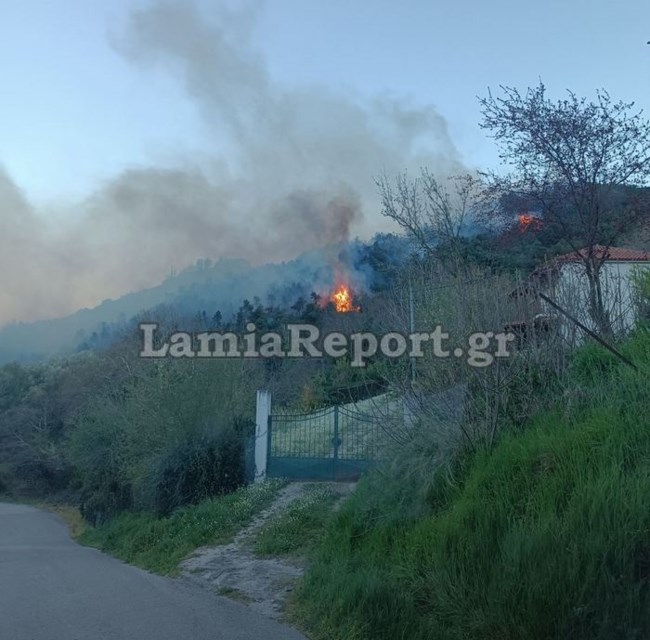 Φθιώτιδα: Ξέσπασε μεγάλη φωτιά στην Μενδενίτσα - Ανεμοι έξι μποφόρ σπρώχνουν τις φλόγες σε κατοικημένες περιοχές