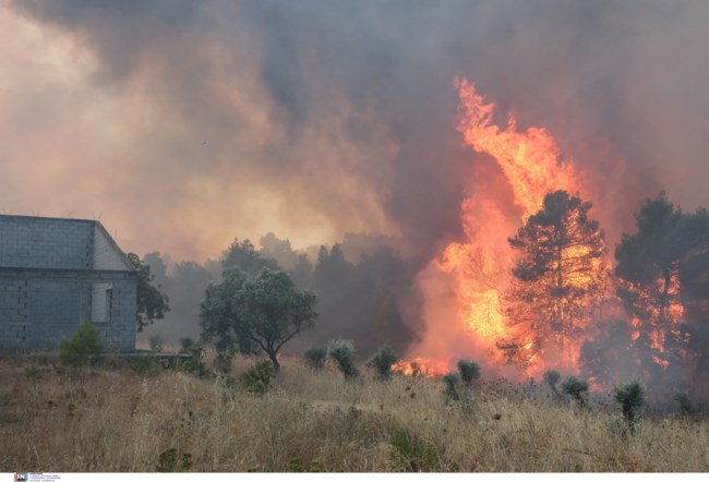 Φωτιά στα Μέγαρα: Μετά από σκληρή μάχη έχει περιοριστεί δυτικά από τη Ζάχουλη - Δεύτερο μικρό μέτωπο προς Πευκενέα