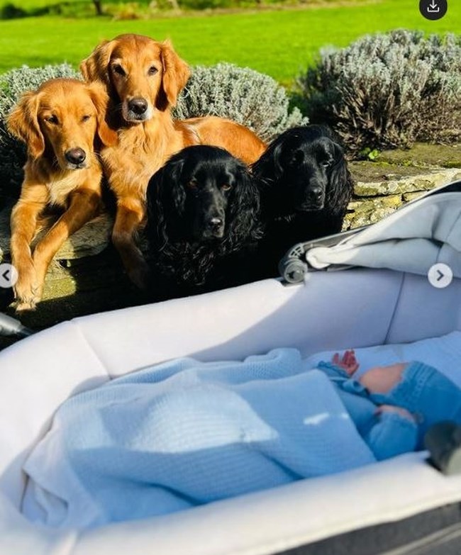 Τζέιμς Μίντλετον: Πώς ο αδερφός της πριγκίπισσας Κέιτ γνώρισε το νεογέννητο γιο του στα λατρεμένα του σκυλιά