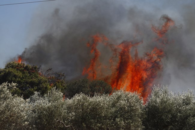 ΒΑΡΗΣ ΚΟΡΩΠΙΟΥ