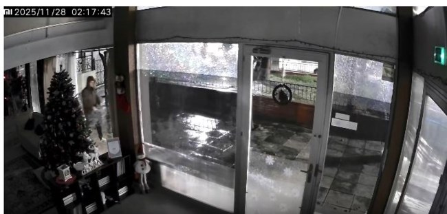 Ανατριχιαστική καταγγελία στη Νέα Φιλαδέλφεια: Άνδρας κυνηγάει και αρπάζει αδέσποτες γάτες