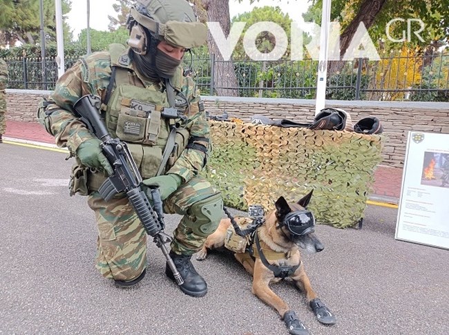 ΣΚΥΛΟΣ ΜΑΧΗΣ