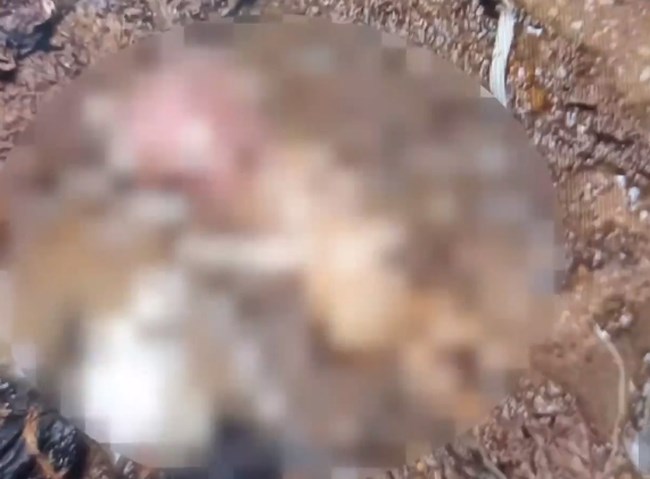 Νεκρό βρέφος