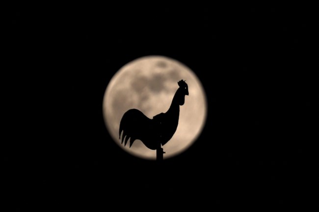 ΠΑΝΣΕΛΗΝΟΣ ΝΟΕΜΒΡΙΟΥ ΠΑΚΙΣΤΑΝ