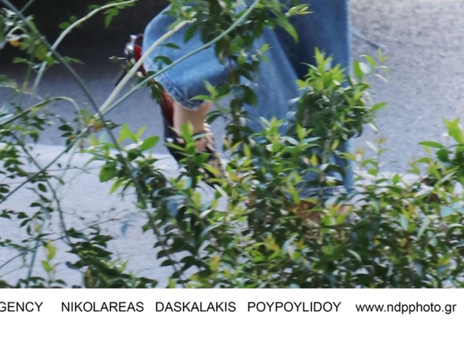 Σταματίνα Τσιμτσιλή