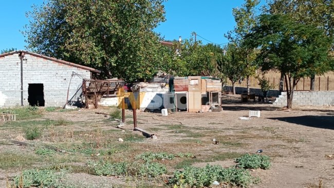 Βοιωτια