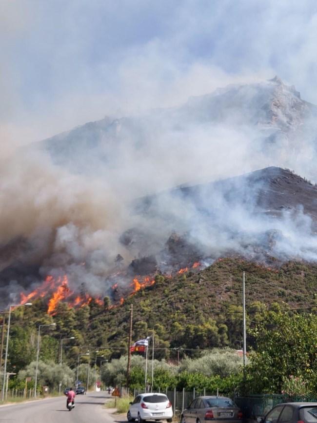 Μεγάλη πυρκαγιά στο Δερβενάκι στη Μαμουσιά Αιγίου - Πλησιάζει σπίτια [εικόνες]