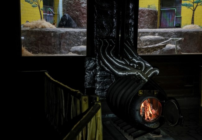 ζωολογικος ζωολογικος