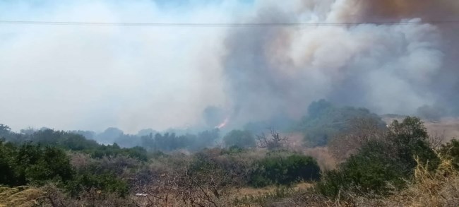 Σε ύφεση η φωτιά στα Κύθηρα - Εξακολουθεί να επιχειρεί μεγάλη δύναμη της Πυροσβεστικής [εικόνες]