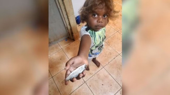 ΑΥΣΤΡΑΛΙΑ ΨΑΡΙΑ