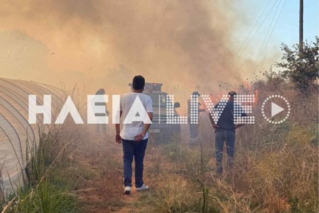 Φωτιά στα Λεχαινά Ηλείας: Μαίνεται η πυρκαγιά - Ενισχύθηκαν οι δυνάμεις της Πυροσβεστικές, κρίσιμες οι επόμενες ώρες [βίντεο]