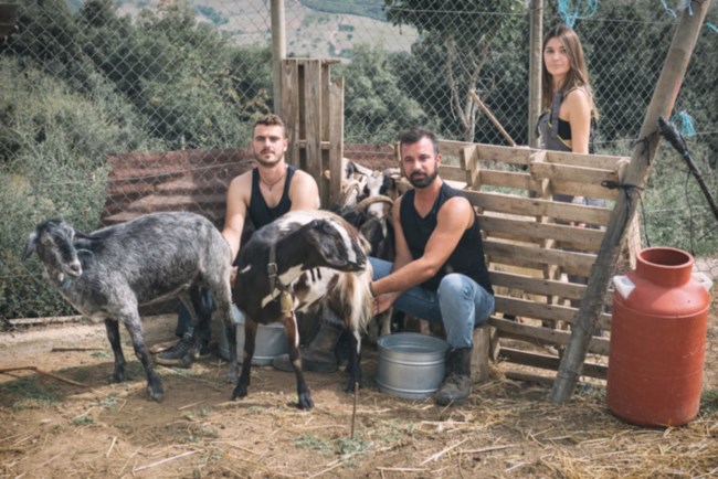 ΣΕΞΙ ΑΓΡΟΤΕΣ ΦΑΡΣΑΛΑ