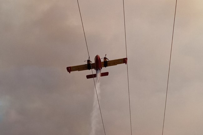 Υπό έλεγχο η φωτιά στο Μαρτίνο - Εξετάζεται το σενάριο εμπρησμού [Εικόνες]