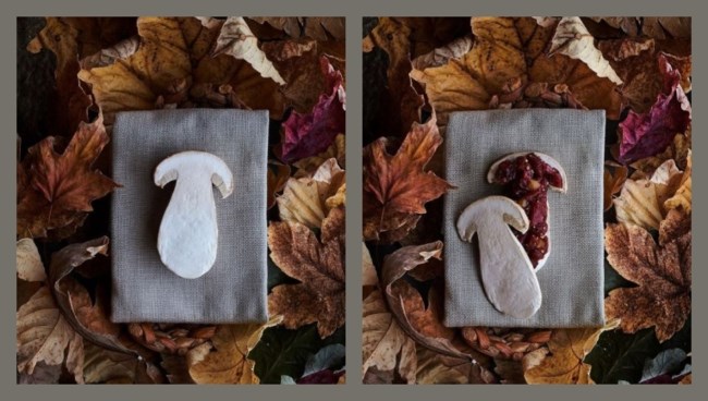 NOMA