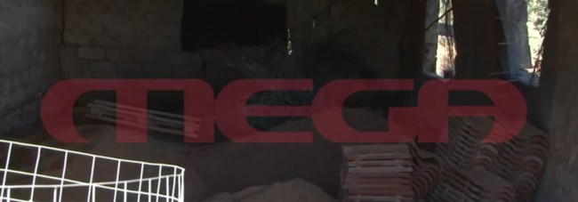 ΒΟΙΩΤΙΑ