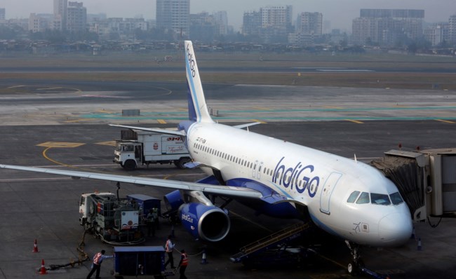 INDIGO