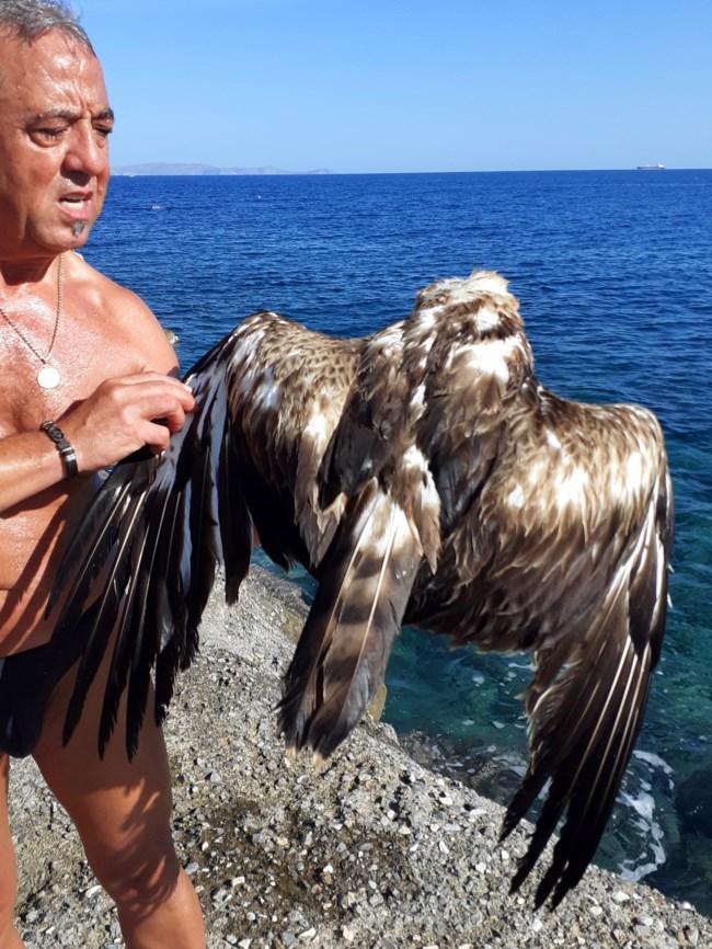 ΔΙΑΣΩΣΗ ΠΤΗΝΟΥ