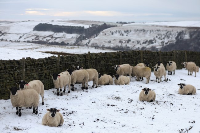 ΚΑΚΟΚΑΙΡΙΑ ΧΙΟΝΙΑ ΕΥΡΩΠΗ