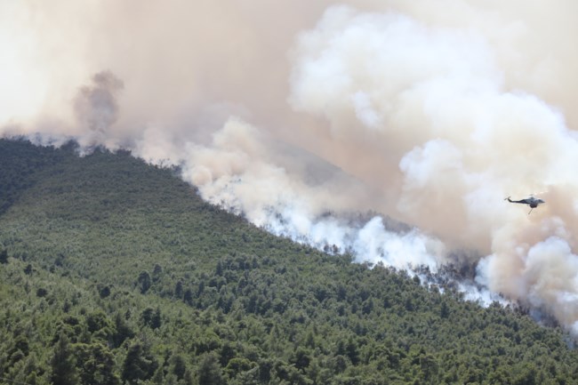 Φωτιές: Το αποτύπωμα της καταστροφής σε εικόνες - Απόγνωση στα καμένα, δραματικές στιγμές στα πολλαπλά μέτωπα