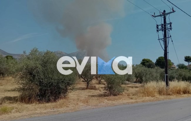 Φωτιά στην Ερέτρια: Προειδοποιητικό μήνυμα 112 στους κατοίκους