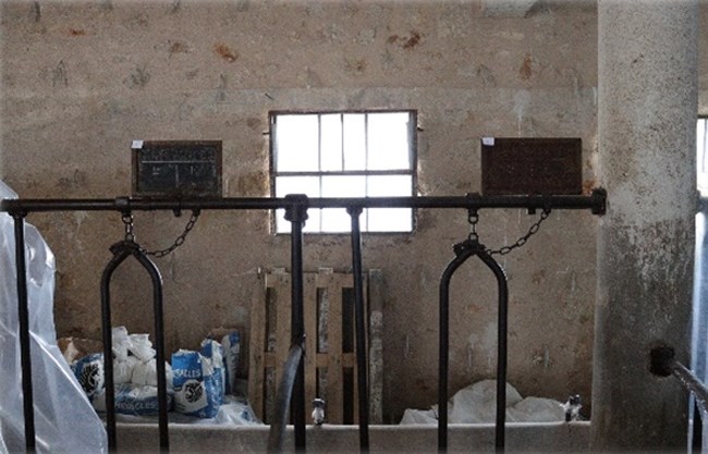 ΒΟΥΣΤΑΣΙΟ ΤΑΤΟΙ