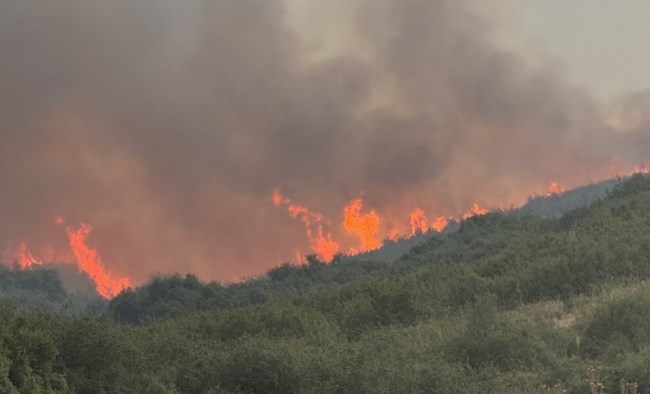 Φωτιά στη Λάρισα: Καίει σε διάσπαρτα μέτωπα στο Αμύγδαλο - Επιχειρούν και εναέρια μέσα